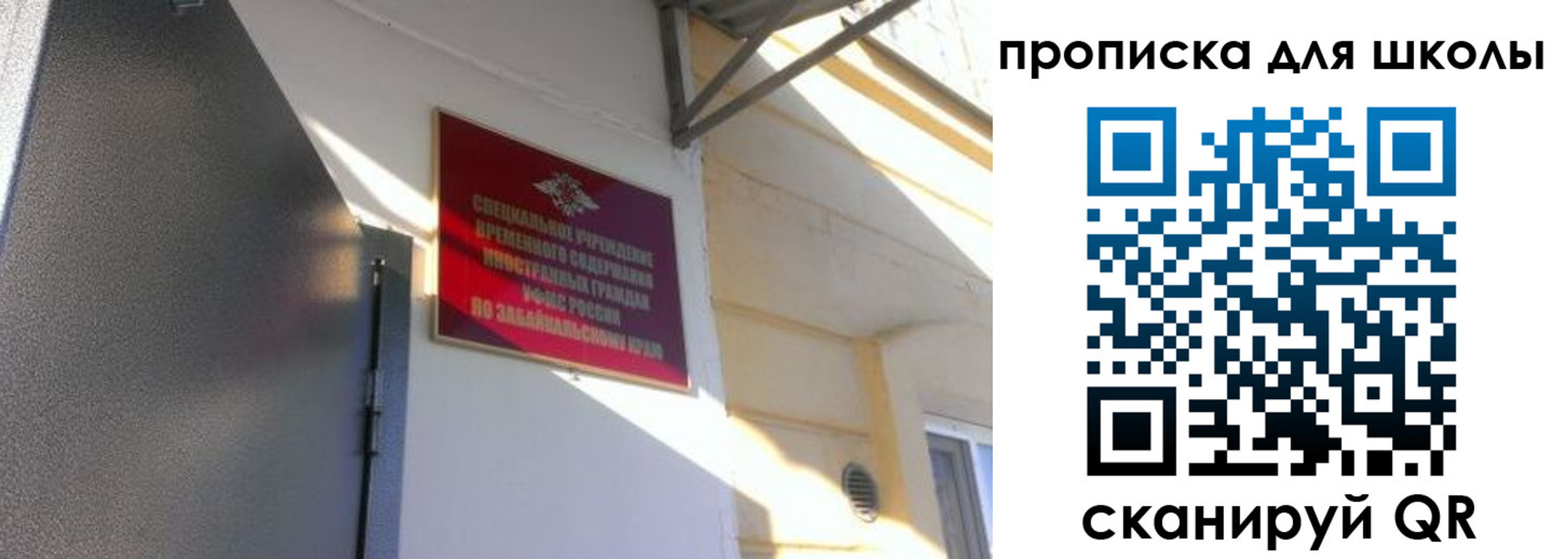 пропишу в квартире в Светлогорске